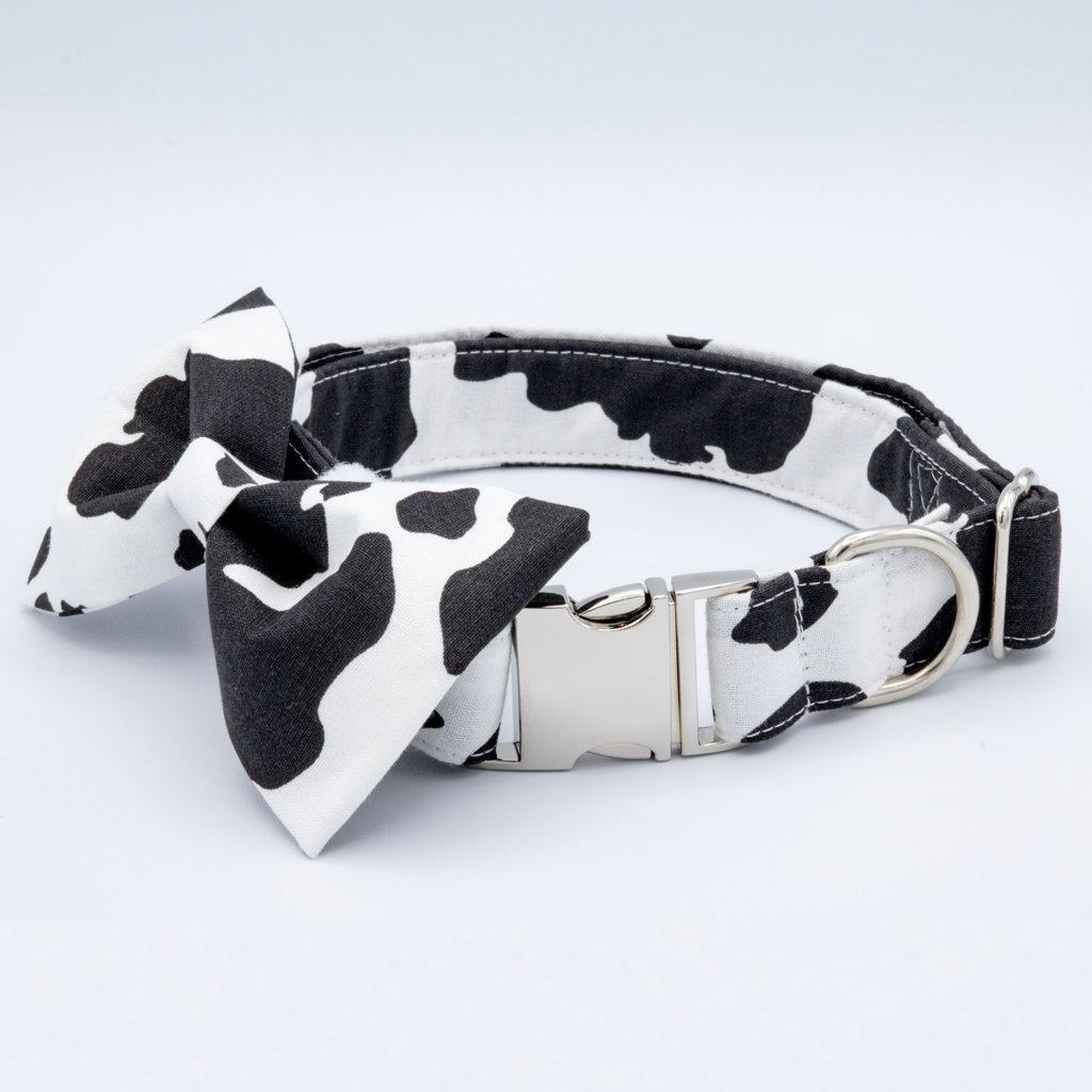 Cow Print Collar Set - Craft Designs By Kenz - Dog Collar