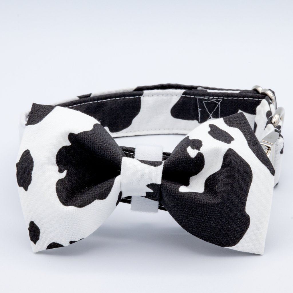 Cow Print Collar Set - Craft Designs By Kenz - Dog Bowtie Collar