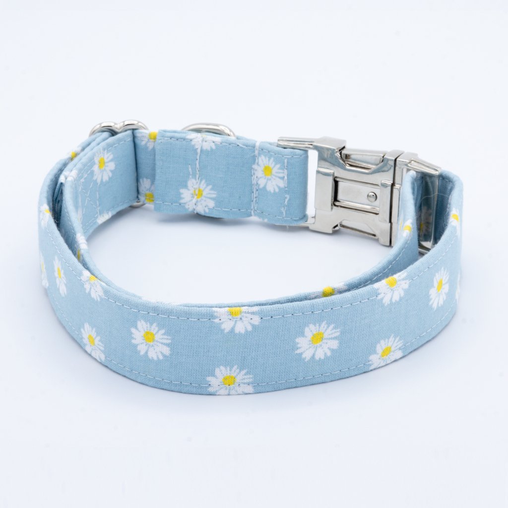 Daisy Dog Collar Set - Craft Designs By Kenz - XS - Personalized Pet Collar