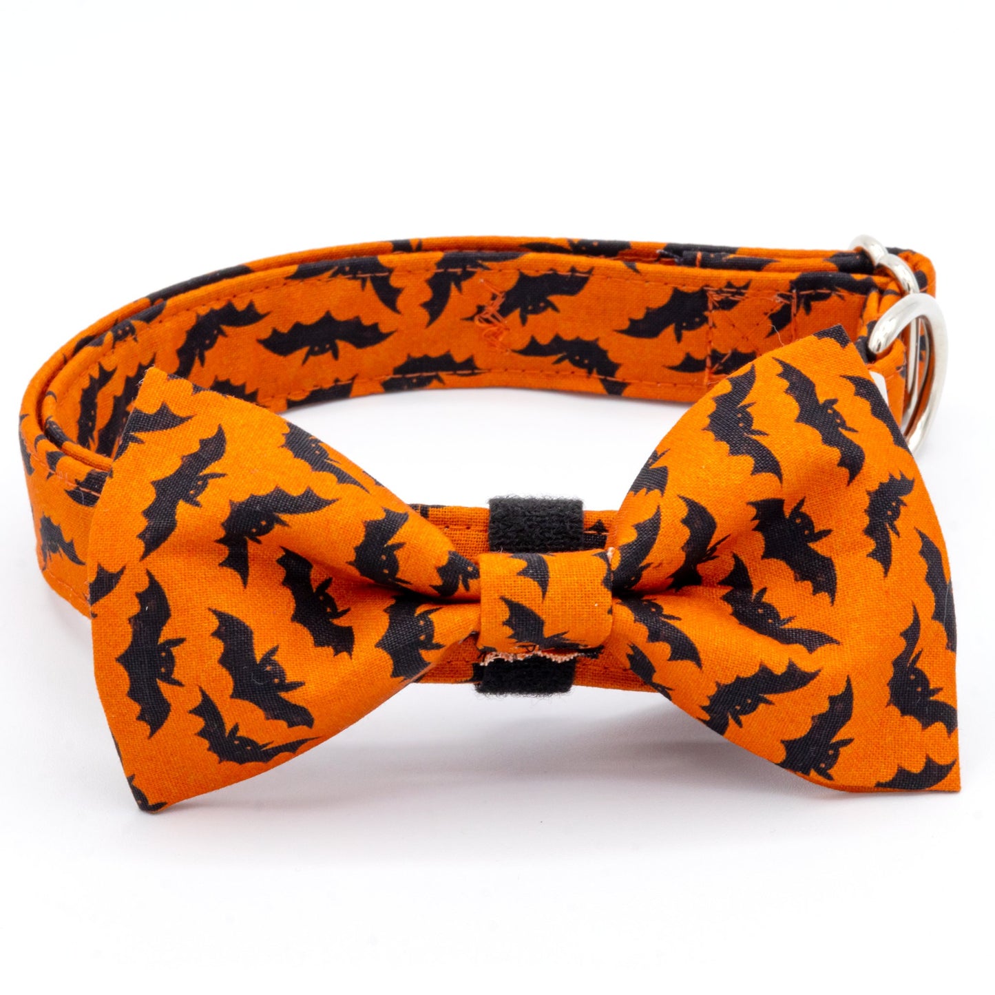 Halloween Bat Dog Collar - Craft Designs By Kenz Personalized Pet Collar