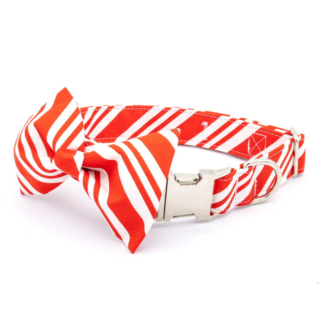 Candy Cane Dog Collar Set - Christmas Dog Collar - Craft Designs By Kenz - Collar + Bowtie - Collar Set