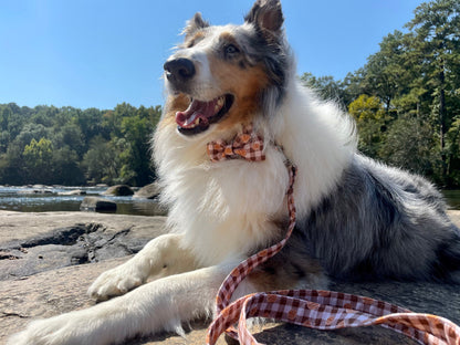 Pumpkin Plaid Collar Set - Fall Dog Collar - Craft Designs By Kenz