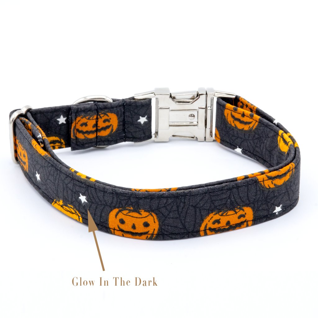 Pumpkin Dog Collar - Glow In The Dark - Craft Designs By Kenz Collar Set