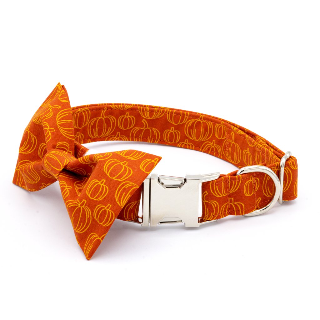 Pumpkin Spice Dog Collar Set - Craft Designs By Kenz - XS - Collar Set