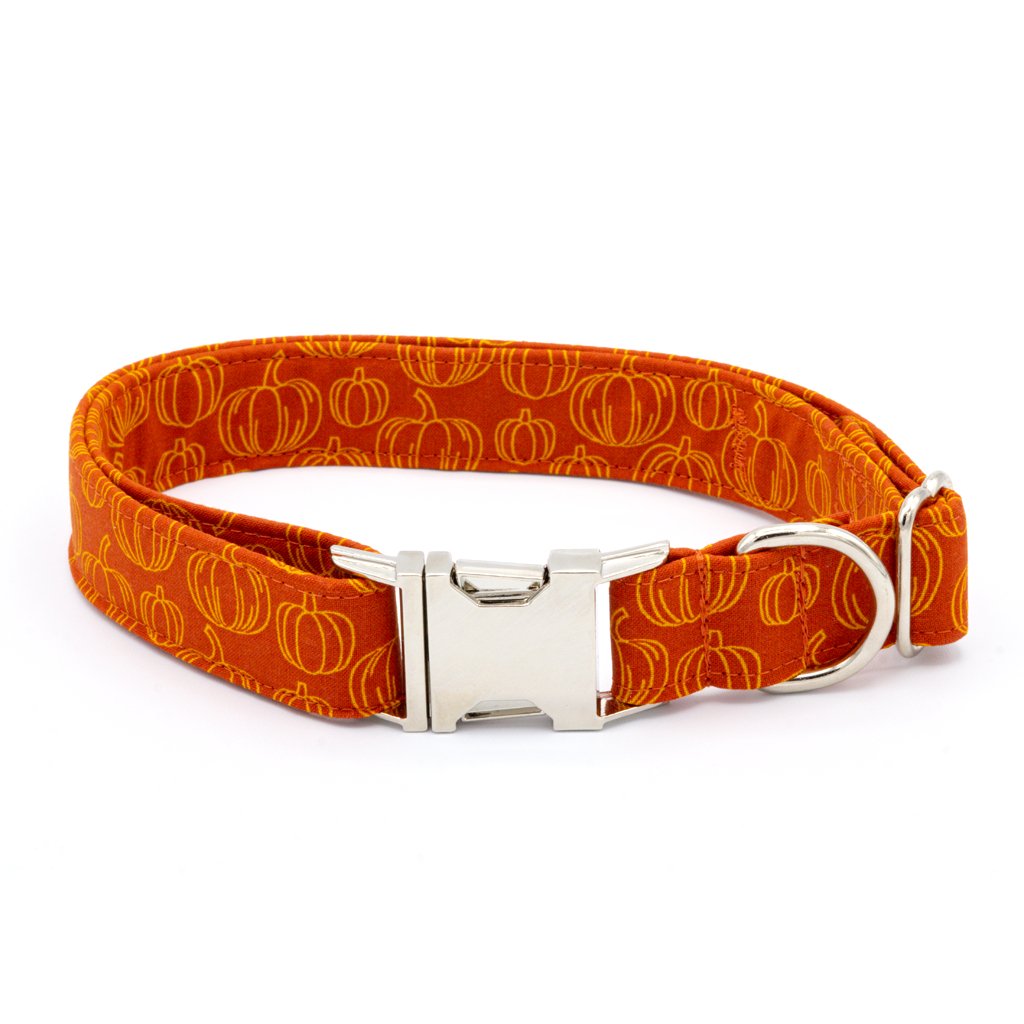 Pumpkin Spice Dog Collar Set - Craft Designs By Kenz - XS - Collar Set