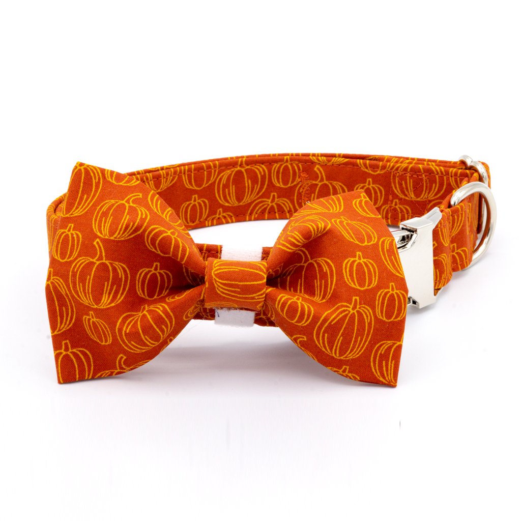 Pumpkin Spice Dog Collar Set - Craft Designs By Kenz Collar Set